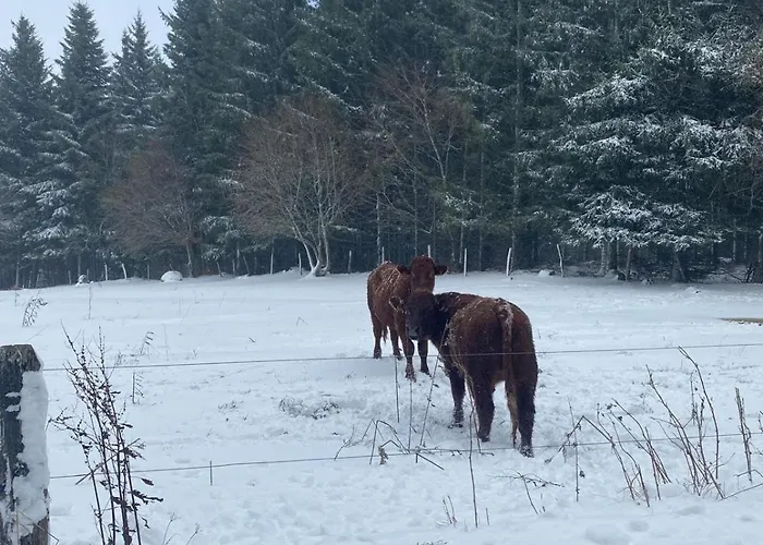 Charmante Maison De Village Pierrefort